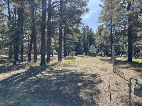 513 Park Ave, Pagosa Springs, CO 81147