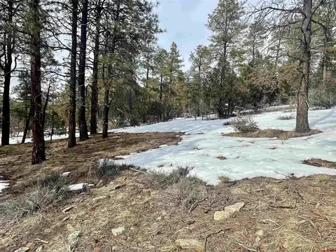 1259 Westview Rd, Pagosa Springs, CO 81147
