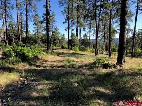 192319832019 Crooked Rd, Pagosa Springs, CO 81147