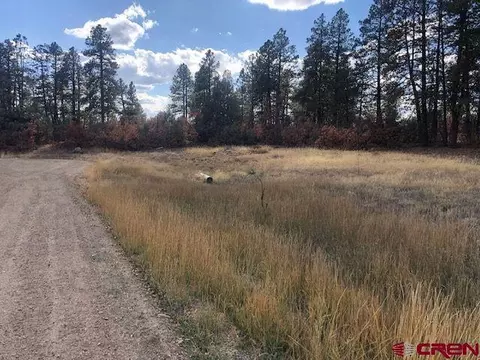 6395107111 Freds Ct, Pagosa Springs, CO 81147