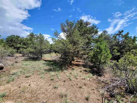 339 Hidden Valley Rd, South Fork, CO 81154