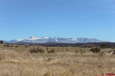 tbd N Dolores Rd, Cortez, CO 81321 photo 4