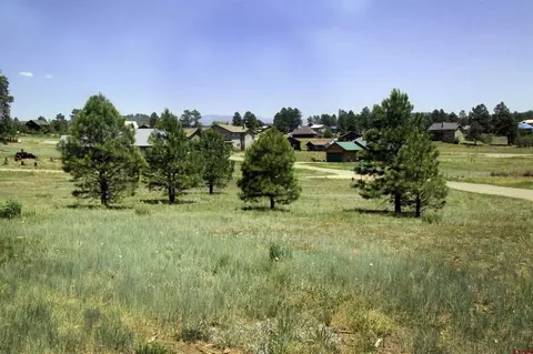 336 Saddle Cir, Pagosa Springs, CO 81147