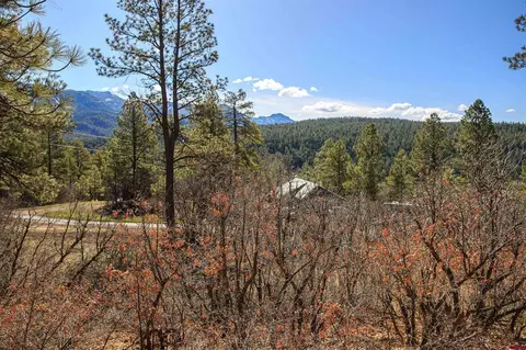 14 Elk Ridge Pl, Pagosa Springs, CO 81147