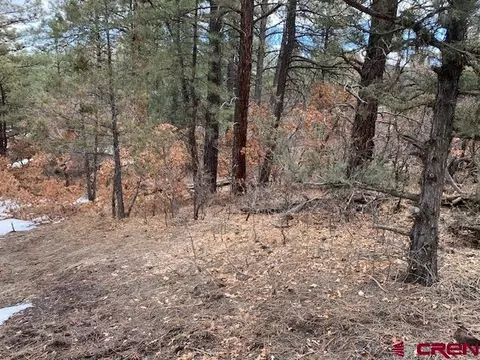 1520 Crooked Rd, Pagosa Springs, CO 81147