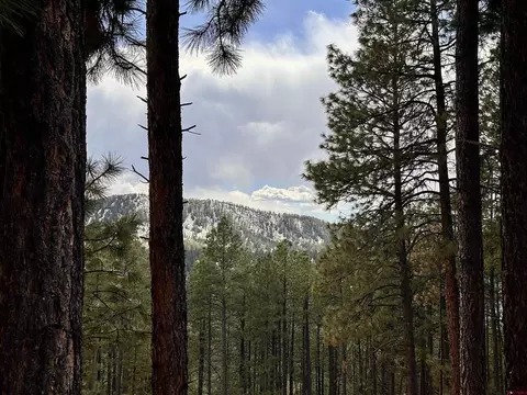 183 Timber Dr, Bayfield, CO 81122