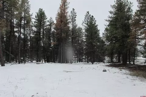 54 Antelope Ave, Pagosa Springs, CO 81147
