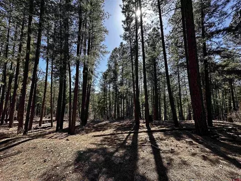99 Pine Cone Cir, Bayfield, CO 81122
