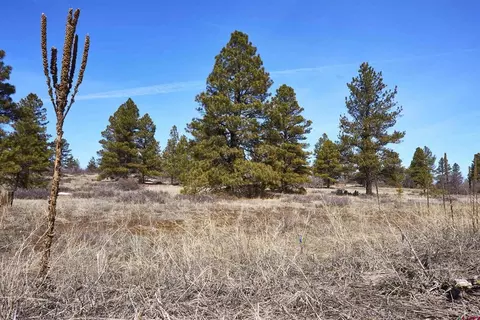 124 High Dr, Pagosa Springs, CO 81147