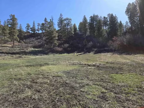 1181 Raccoon Dr, Pagosa Springs, CO 81147