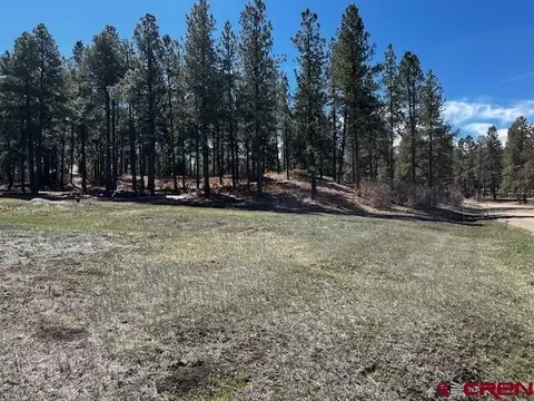 134 Elk Valley Rd, Bayfield, CO 81122