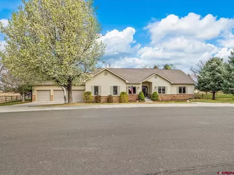2017 Tree Line Ln, Montrose, CO 81403