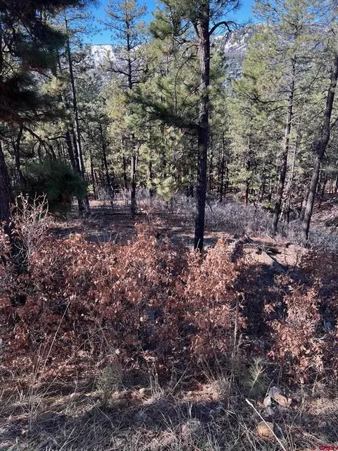 238 Deer Ridge Dr, Bayfield, CO 81122