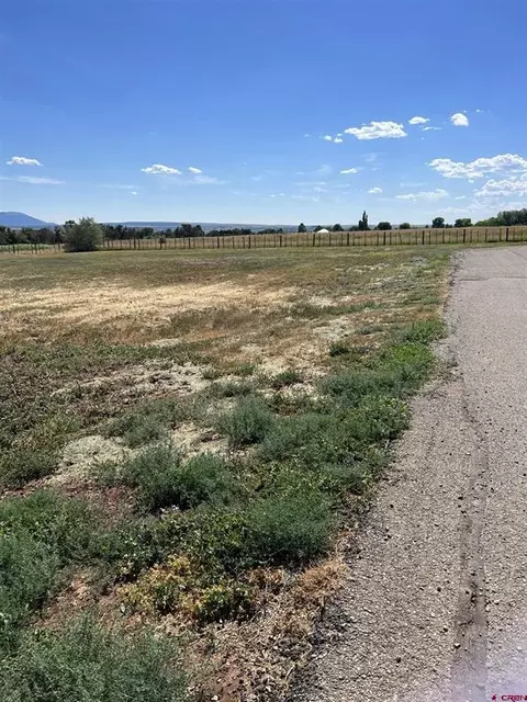 Lot 5-8 Road S.85, Dolores, CO 81323