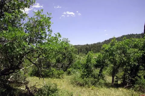 448 Clint Cir, Pagosa Springs, CO 81147