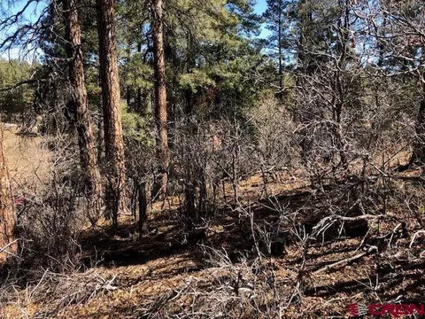 858 Petitts Cir, Pagosa Springs, CO 81147