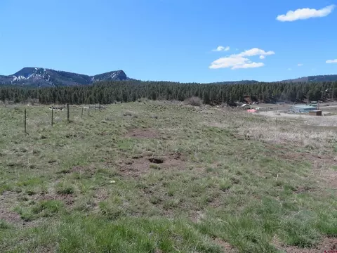 71 Petitts Cir, Pagosa Springs, CO 81147