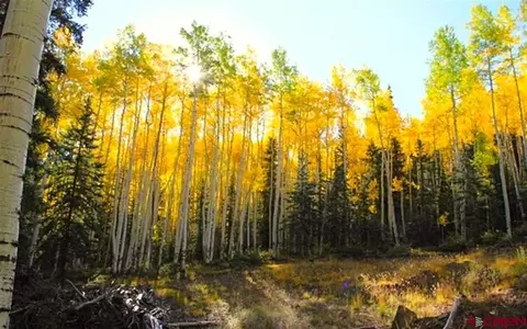 8510 Hinsdale County Road 30, Lake City, CO 81235