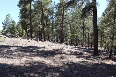 160 Woodridge Cir, Pagosa Springs, CO 81147