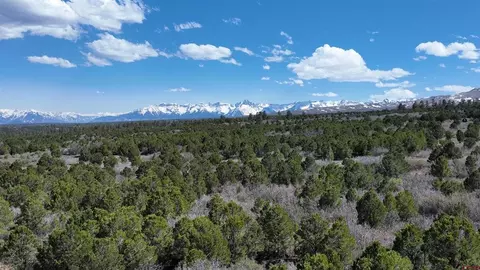 56 Wildcat Canyon Road, Montrose, CO 81403