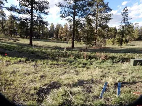 322 Harman Park Dr, Pagosa Springs, CO 81147