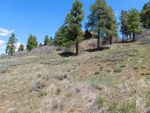 24 Carlee Place Pl, Pagosa Springs, CO 81147
