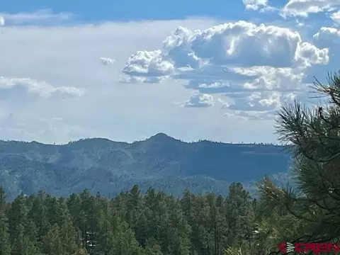 50 Shorties Ct, Pagosa Springs, CO 81147