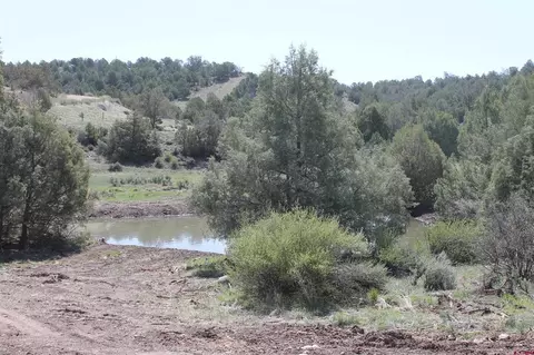 3605 Cr 307, Durango, CO 81303 photo 4