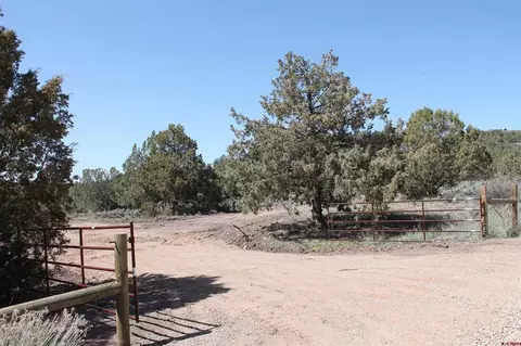 3605 Cr 307, Durango, CO 81303 photo 10