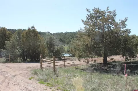 3605 Cr 307, Durango, CO 81303 photo 13