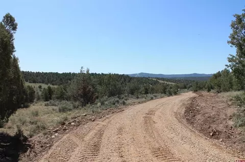 3605 Cr 307, Durango, CO 81303 photo 26