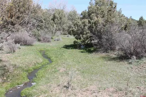3605 Cr 307, Durango, CO 81303 photo 18