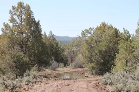 3605 Cr 307, Durango, CO 81303 photo 16