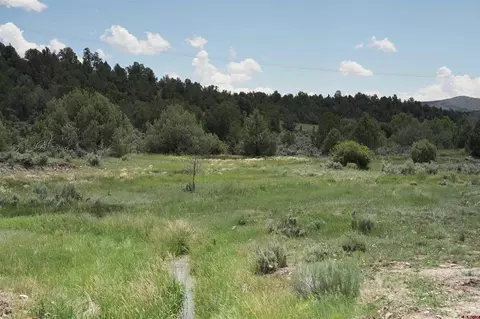 3605 Cr 307, Durango, CO 81303 photo 5