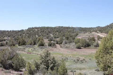 3605 Cr 307, Durango, CO 81303 photo 30