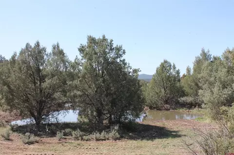 3605 Cr 307, Durango, CO 81303 photo 17