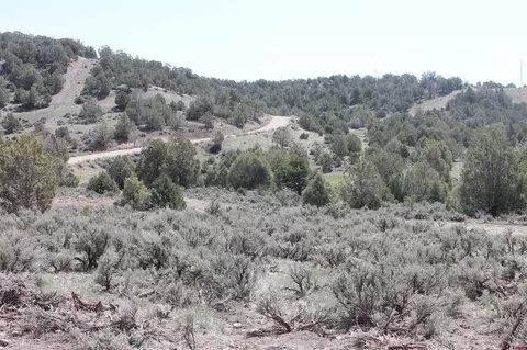 3605 Cr 307, Durango, CO 81303 photo 22