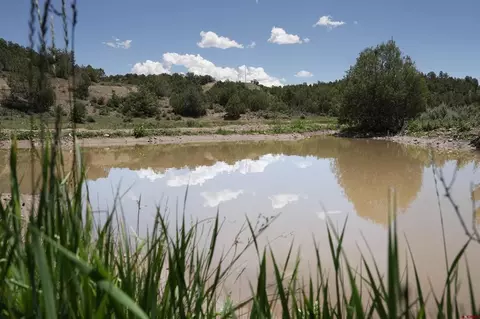 3605 Cr 307, Durango, CO 81303 photo 7