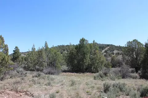 3605 Cr 307, Durango, CO 81303 photo 27