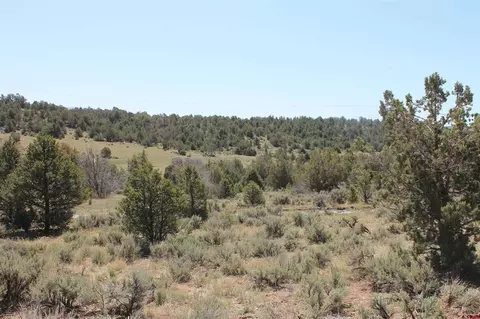 3605 Cr 307, Durango, CO 81303 photo 28