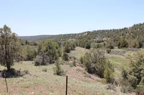 3605 Cr 307, Durango, CO 81303 photo 29