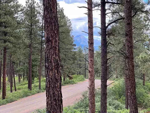 Lot32 Piney Place, Pagosa Springs, CO 81147