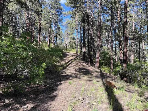 299 Rosalie Dr, Durango, CO 81301
