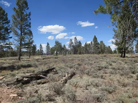 809 Schofield Trl, Powderhorn, CO 81243