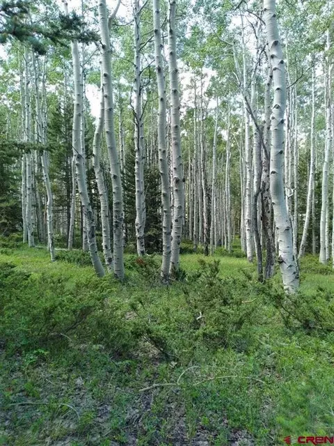 252 Crest Dr, Cimarron, CO 81220