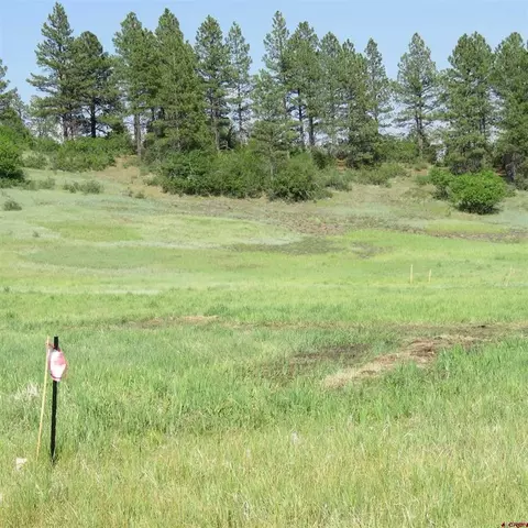 389 Hills Cir, Pagosa Springs, CO 81147