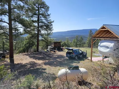 324 Starlight Pl, Pagosa Springs, CO 81147