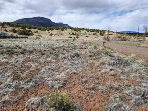 1333 Mohee Rd, South Fork, CO 81154