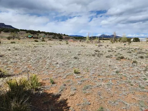 1289 Mohee Rd, South Fork, CO 81154