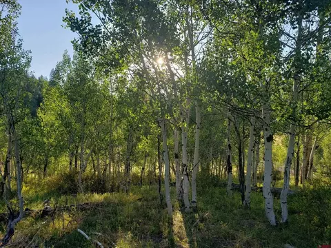 342 344 Spruce Gln, Pagosa Springs, CO 81147